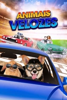 Poster do filme Animais Velozes