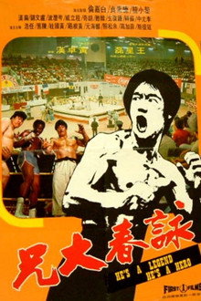 詠春大兄