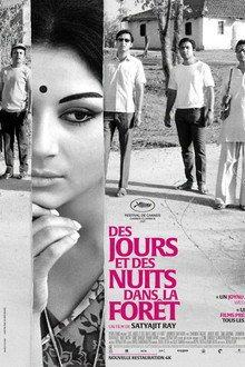 Des jours et des nuits dans la forêt