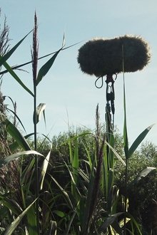 In-a-Silent-Way