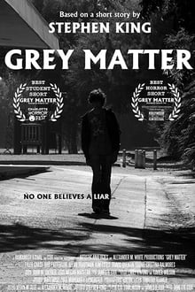 Poster do filme Grey Matter