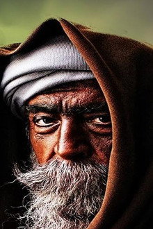 صدر الباز