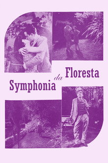 Sinfonia da Floresta
