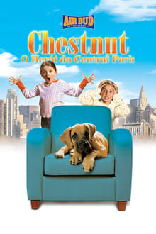 Poster do filme Chestnut: O Herói do Central Park