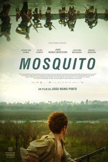 Mosquito