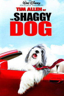 The Shaggy Dog