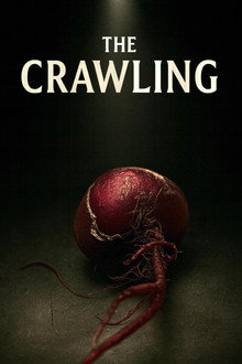 The Crawling