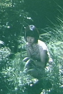 ミドリ