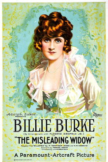 The Misleading Widow