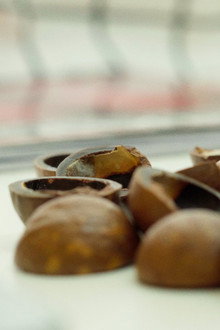 MACADAMIA