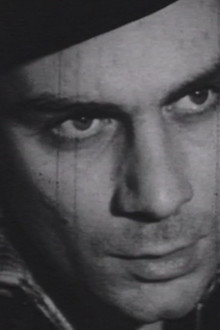 Il taglio del bosco