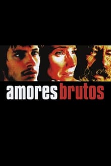 Poster do filme Amores perros