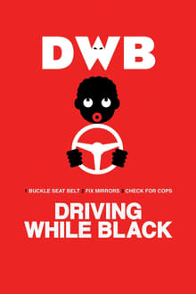 Poster do filme Driving While Black