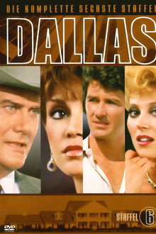 Staffel 6