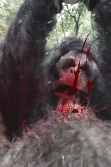 Frozen Sasquatch