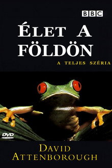 1. Évad