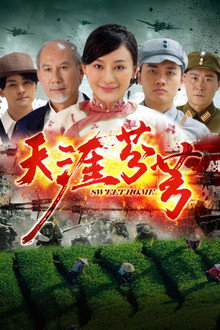 天涯芬芳