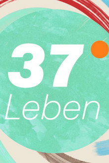 37°Leben
