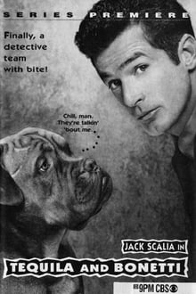 Tequila and Bonetti tv show poster