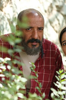 سوفی و دیوانه