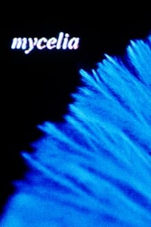 Poster do filme mycelia