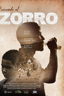 Searching for Zorro