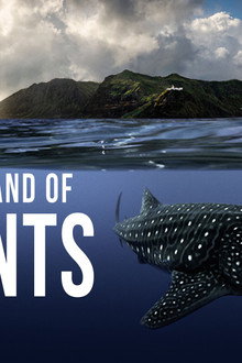 The-Island-of-Giants