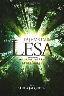 Tajemství lesa
