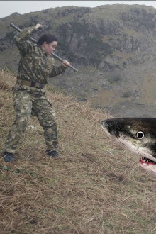 Mountain Shark