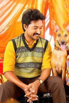 மெஹந்தி சர்க்கஸ்