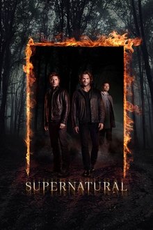 Supernatural 12ª Temporada (2016) Torrent – WEB-DL 720p Dublado / Dual Áudio Download Supernatural 12ª Temporada (2016) Torrent – WEB-DL 720p Dublado / Dual Áudio Download