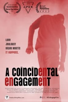 Poster do filme A Coincidental Engagement