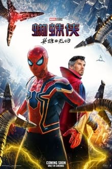 Poster do filme Spider-Man: No Way Home - The More Fun Stuff Version