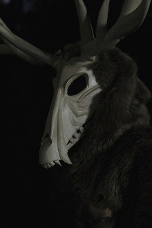 Bestiary