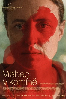 Vrabec v komíně