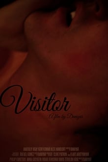 Poster do filme Visitor