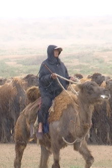 Yuan Qu De Luo Tuo Ke