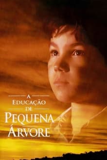 Poster do filme A Educação de Pequena Árvore