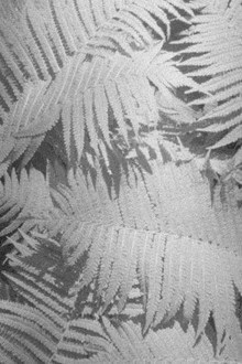 Materia vibrante