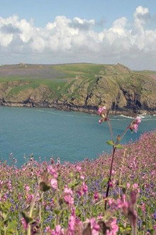 Le pays de Galles sauvage