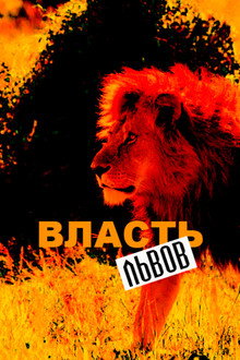 Власть львов