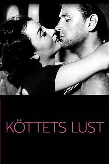 Köttets lust