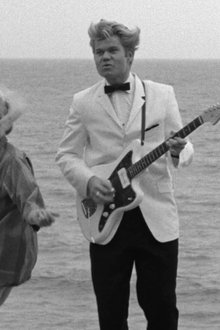 Wild-Guitar