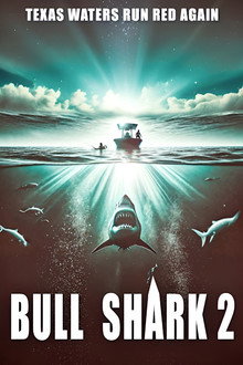 Bull Shark 2