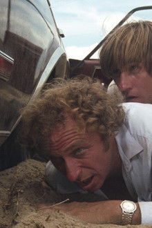 Der-Hornochse-und-sein-Zugpferd