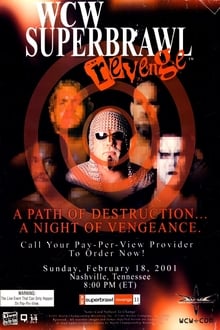 Poster do filme WCW SuperBrawl Revenge