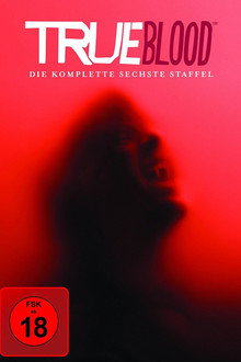 Staffel 6