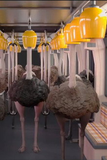 Ostrich Politic