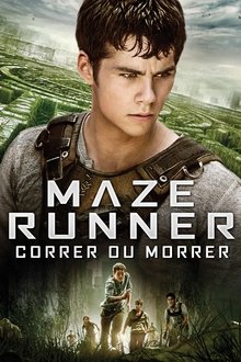 Poster do filme The Maze Runner