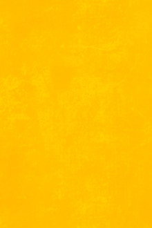 Beyond the Yellow Neptune